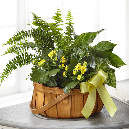 Always Dear Dishgarden – KIEFER'S FLORIST, Coshocton OH