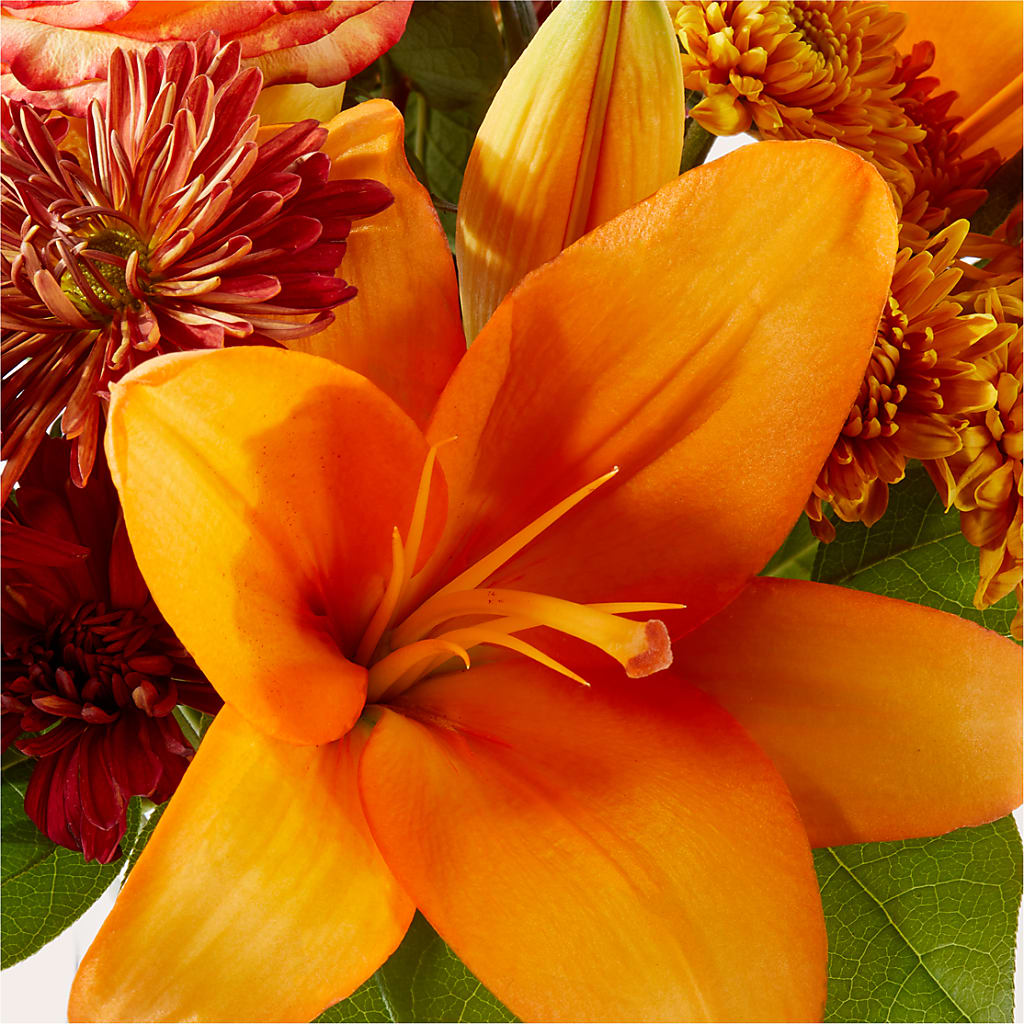 Autumnal Aroma Bouquet – KIEFER'S FLORIST, Coshocton OH