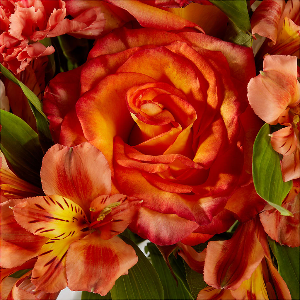 Apricot Glow Bouquet – KIEFER'S FLORIST, Coshocton OH