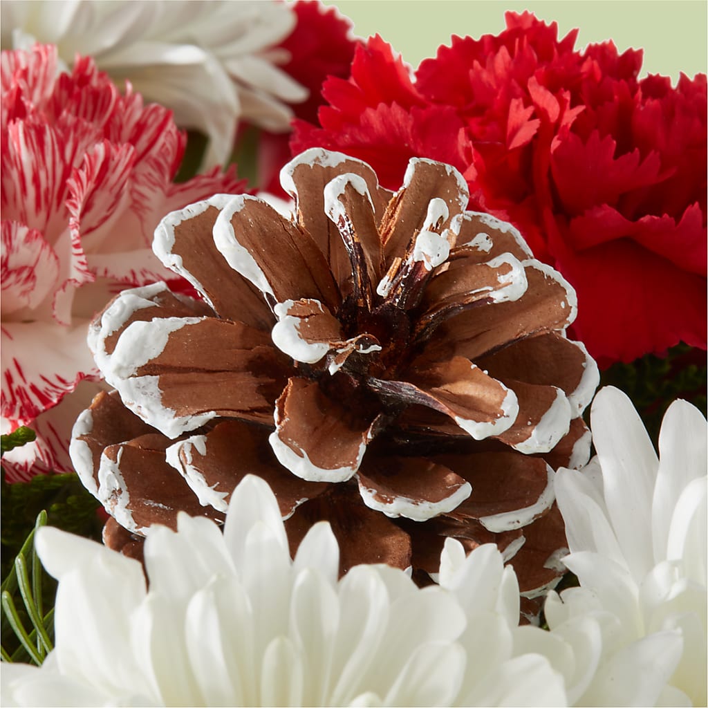 Candy Cane Lane Bouquet – KIEFER'S FLORIST, Coshocton OH