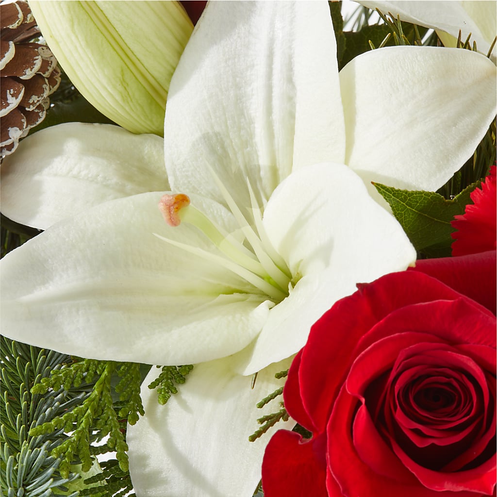 Oh So Jolly Bouquet – KIEFER'S FLORIST, Coshocton OH