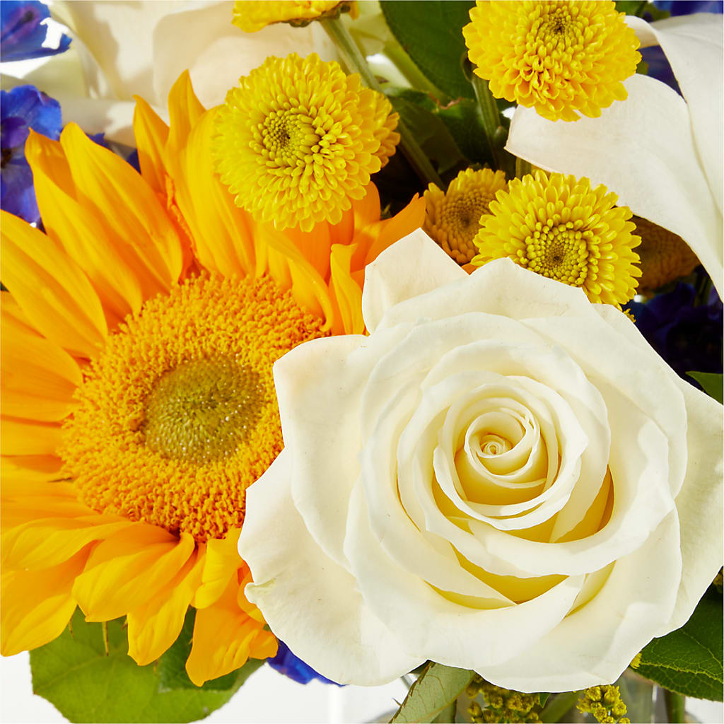 Stargazing Bouquet – KIEFER'S FLORIST, Coshocton OH
