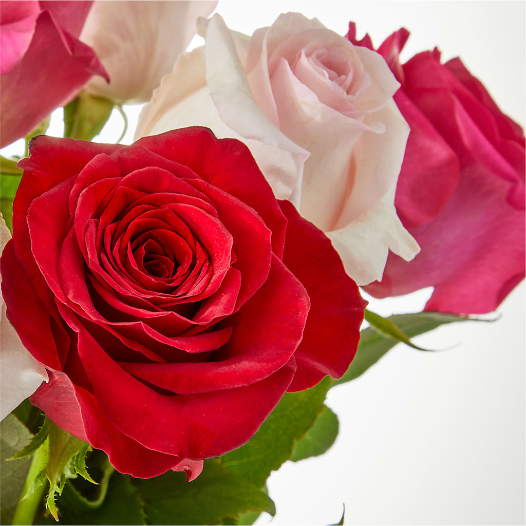 Charming Rose Bouquet – KIEFER'S FLORIST, Coshocton OH