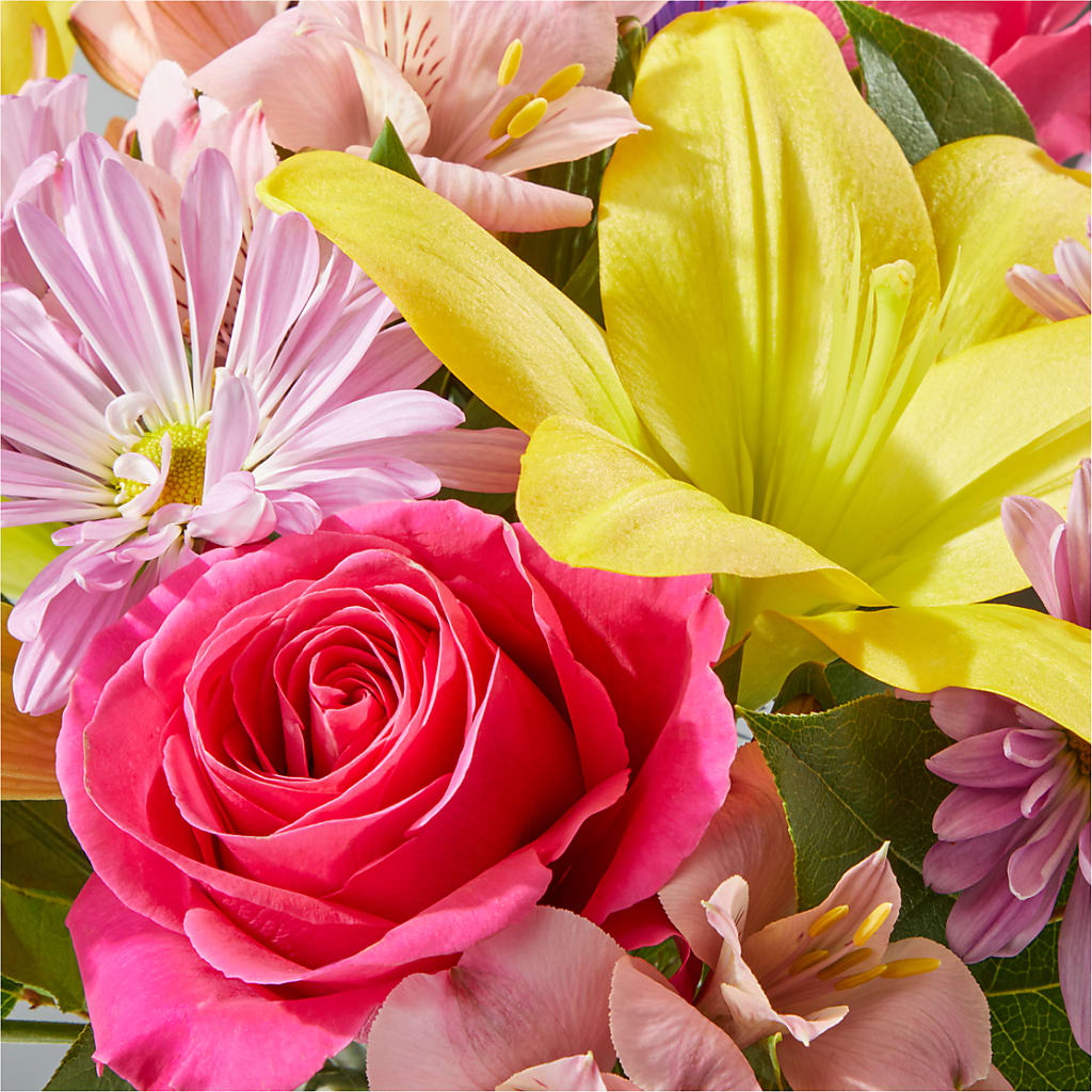 Sprinkles Bouquet – KIEFER'S FLORIST, Coshocton OH