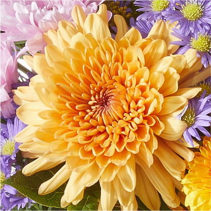 Countryside Bouquet – KIEFER'S FLORIST, Coshocton OH