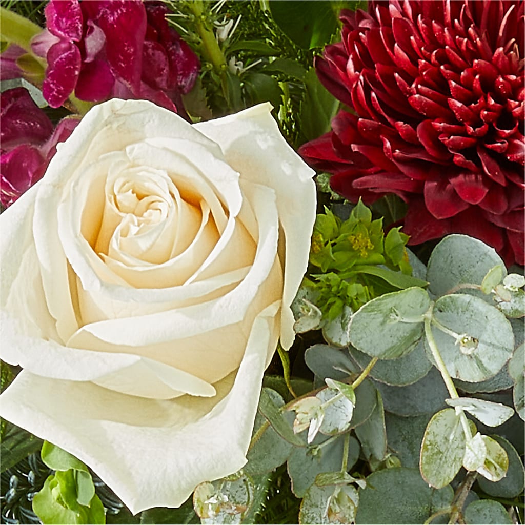Cranberry Fizz Bouquet – KIEFER'S FLORIST, Coshocton OH
