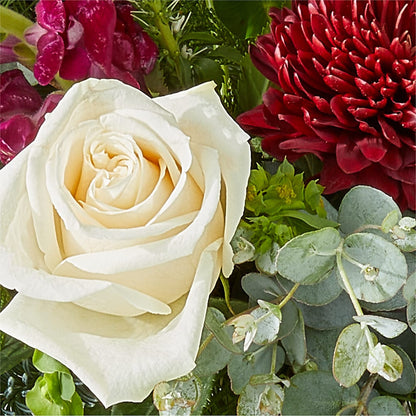 Cranberry Fizz Bouquet – KIEFER'S FLORIST, Coshocton OH