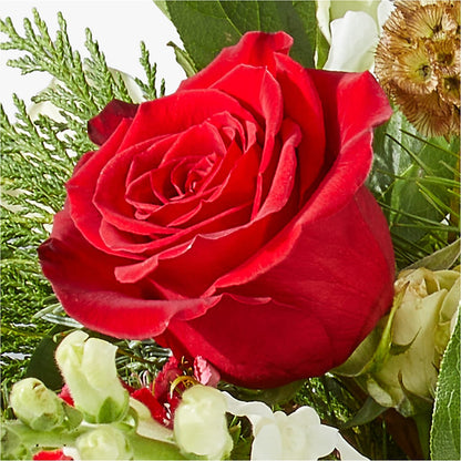 Deck the Halls Bouquet – KIEFER'S FLORIST, Coshocton OH