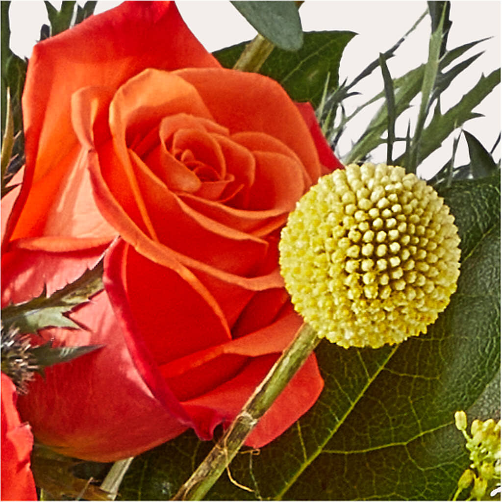 Disco Bouquet – KIEFER'S FLORIST, Coshocton OH