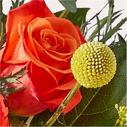 Disco Bouquet – KIEFER'S FLORIST, Coshocton OH