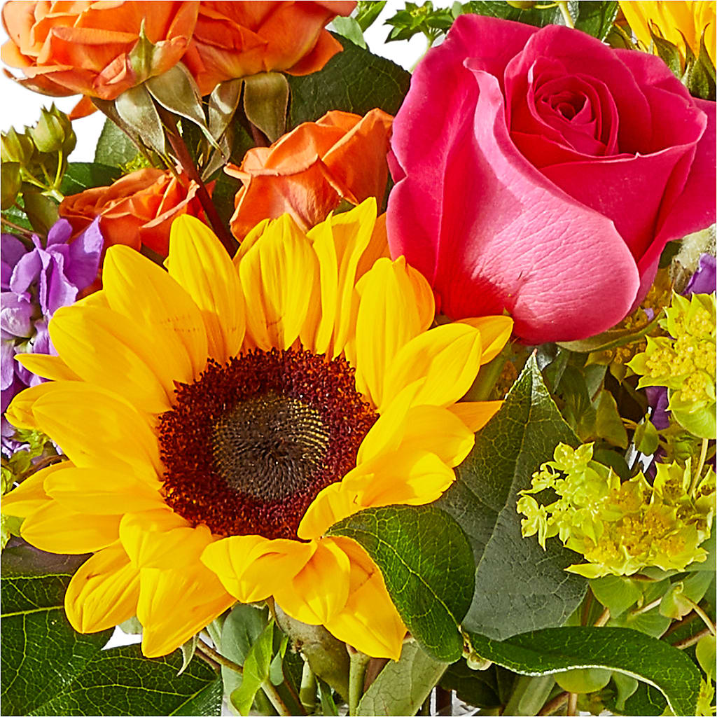 Vibrant Greetings Bouquet – KIEFER'S FLORIST, Coshocton OH