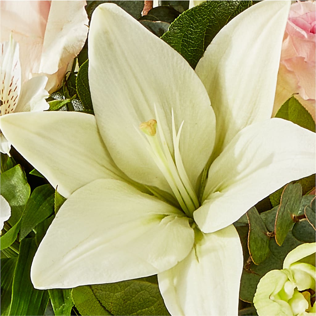 Ballet Slippers Bouquet – KIEFER'S FLORIST, Coshocton OH