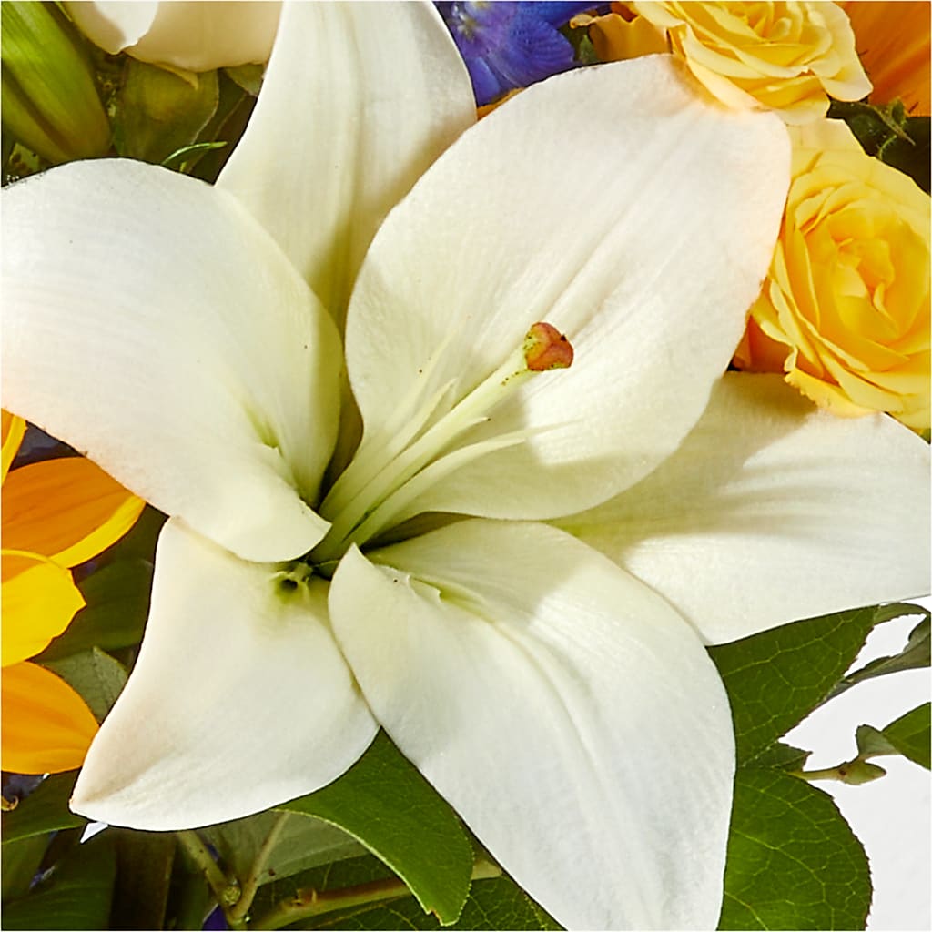 Wonderfully Sunny Bouquet – KIEFER'S FLORIST, Coshocton OH