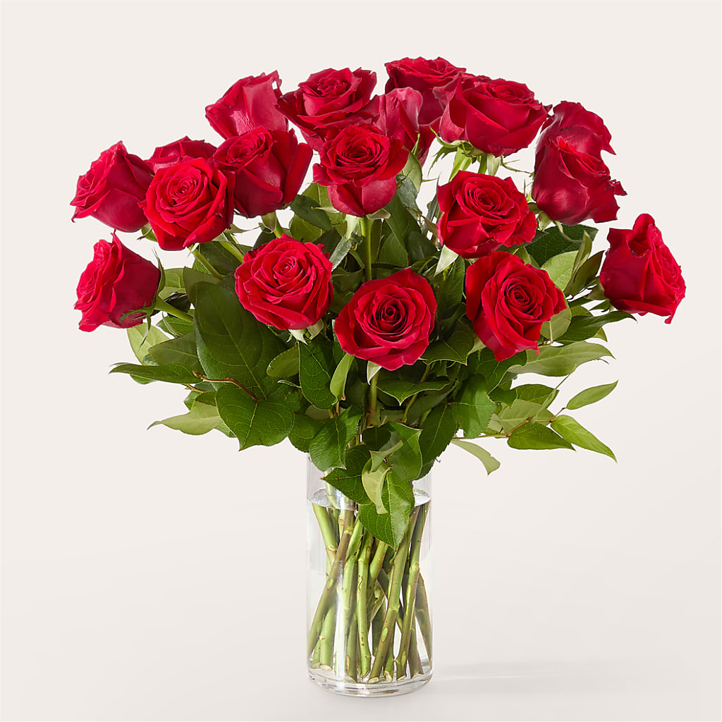The One Red Rose Bouquet – KIEFER'S FLORIST, Coshocton OH