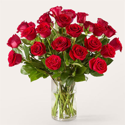 The One Red Rose Bouquet – KIEFER'S FLORIST, Coshocton OH