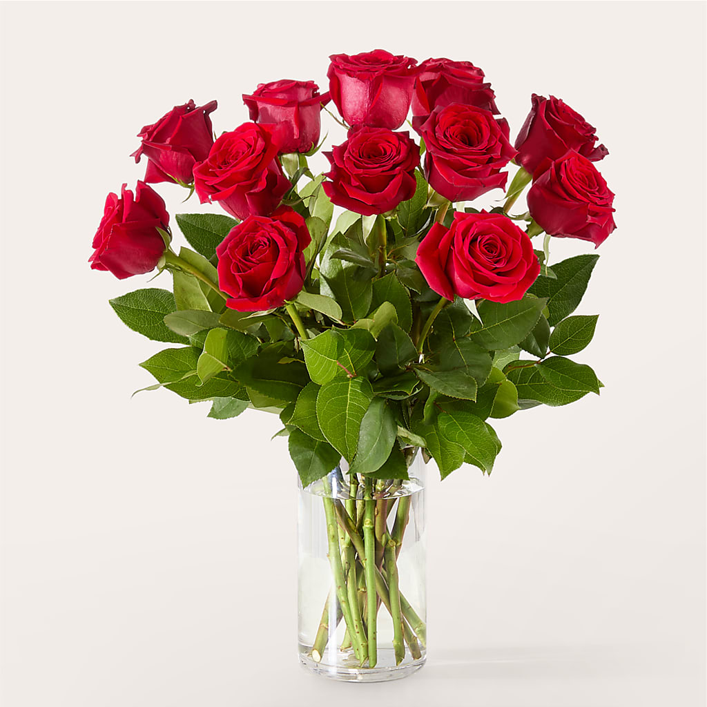 The One Red Rose Bouquet – KIEFER'S FLORIST, Coshocton OH