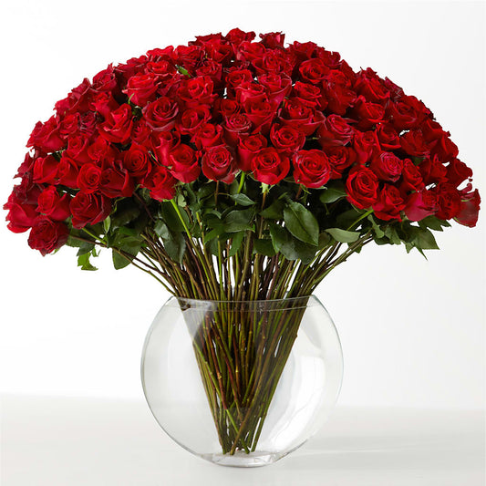 The Idealist – KIEFER'S FLORIST, Coshocton OH
