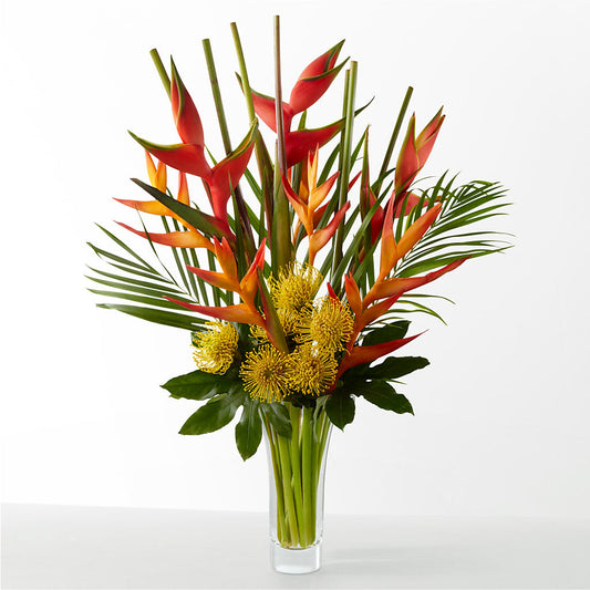 The Drama – KIEFER'S FLORIST, Coshocton OH