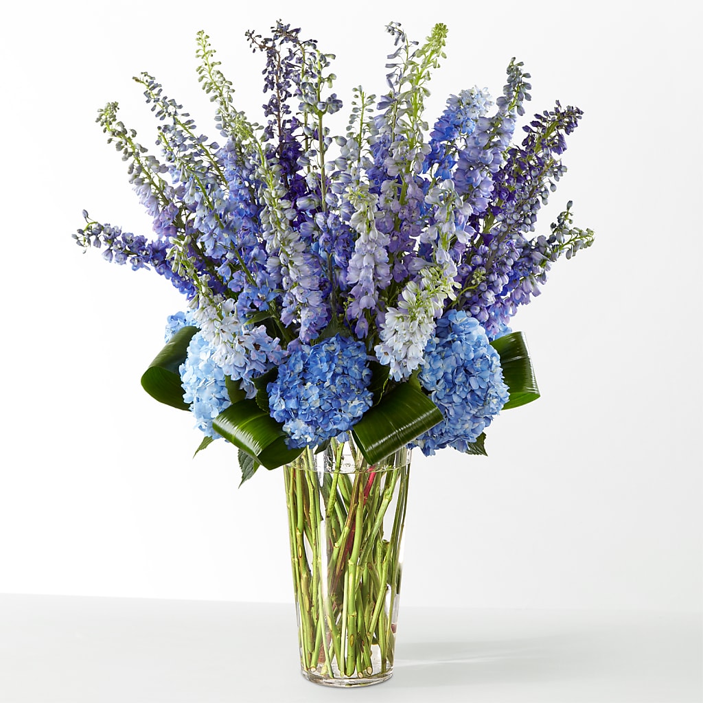 The Editorial – KIEFER'S FLORIST, Coshocton OH
