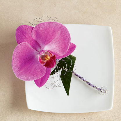 Glorious Boutonniere – KIEFER'S FLORIST, Coshocton OH