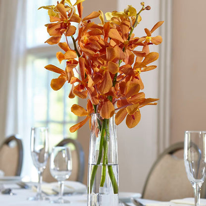 Orange Mokara Bud Vase – KIEFER'S FLORIST, Coshocton OH