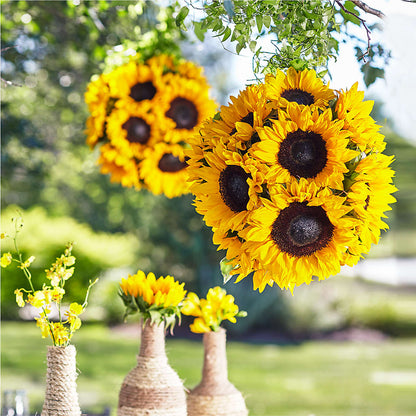 Sublime Garden Hanging Arrangement – KIEFER'S FLORIST, Coshocton OH