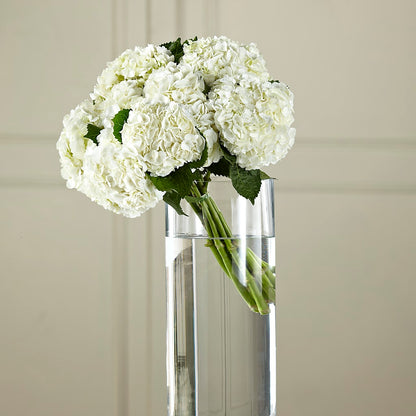 White Hydrangea Hand-Tied Bouquet – KIEFER'S FLORIST, Coshocton OH