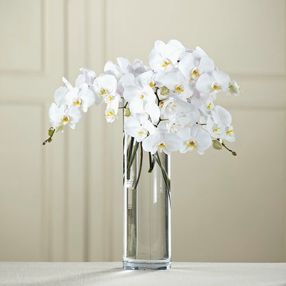 White Phalaenopsis Bouquet – KIEFER'S FLORIST, Coshocton OH