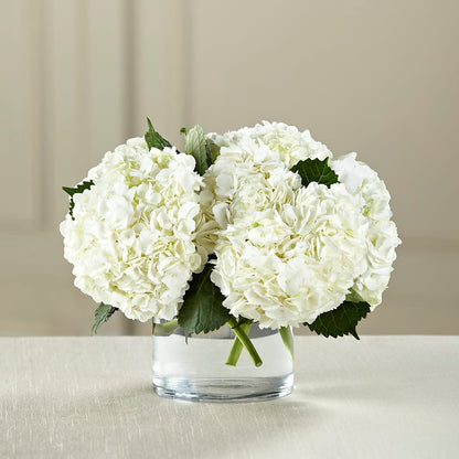 White Hydrangea Bouquet – KIEFER'S FLORIST, Coshocton OH